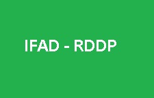 IFAD-RDDP